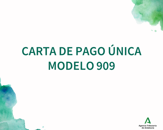 MODELO 909