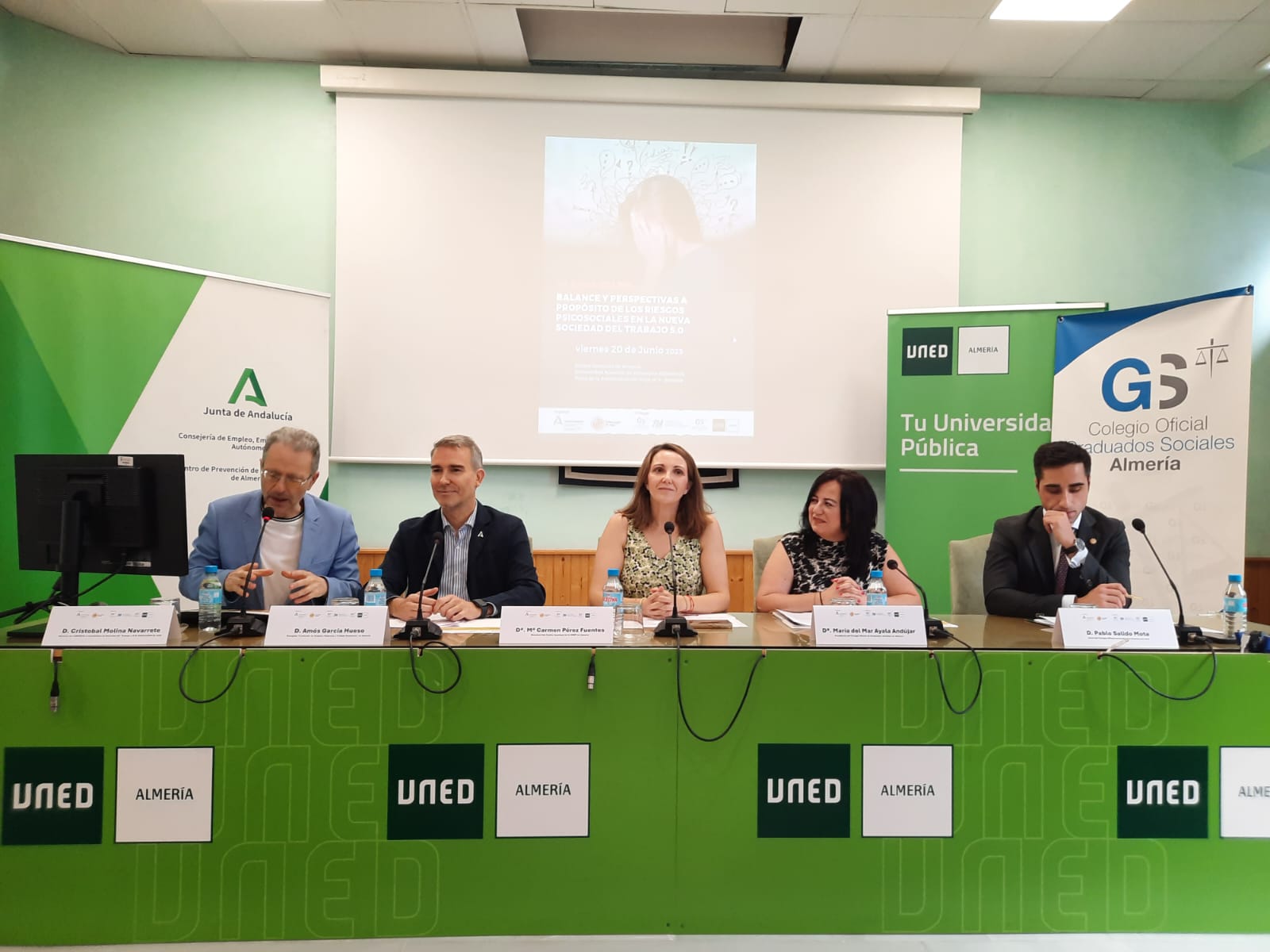 WhatsApp Image 2025 06 20 at 10.09.12